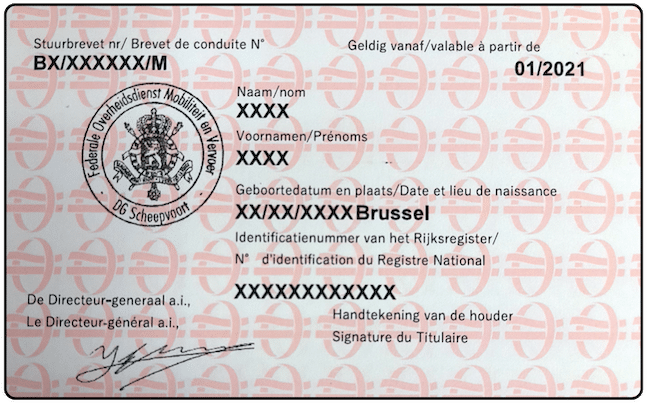 stuurbrevet 2022 - resized | Ecolenautique.be brevet de conduite